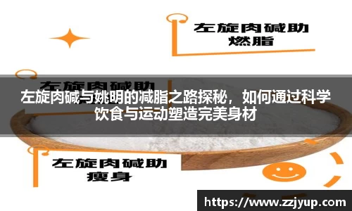 左旋肉碱与姚明的减脂之路探秘，如何通过科学饮食与运动塑造完美身材