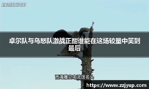 好博体育官网平台